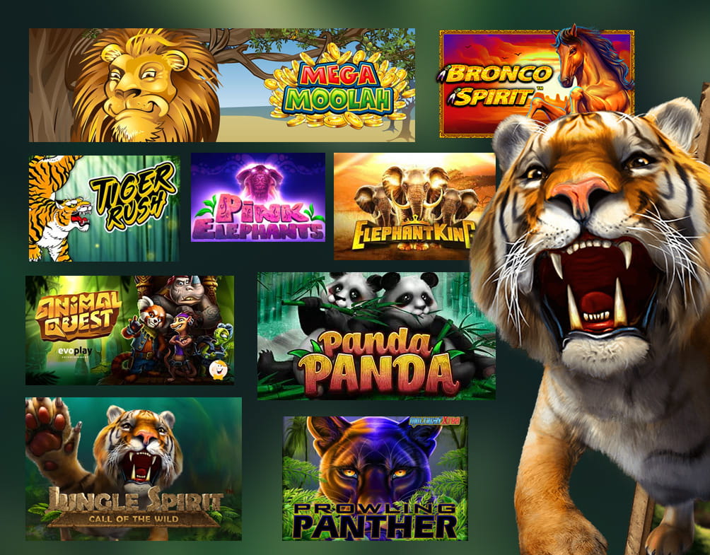 Animal Slots - the Wildest Ones You Would Find Online!