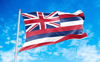 The flag of Hawaii waving against a blue sky backdrop.